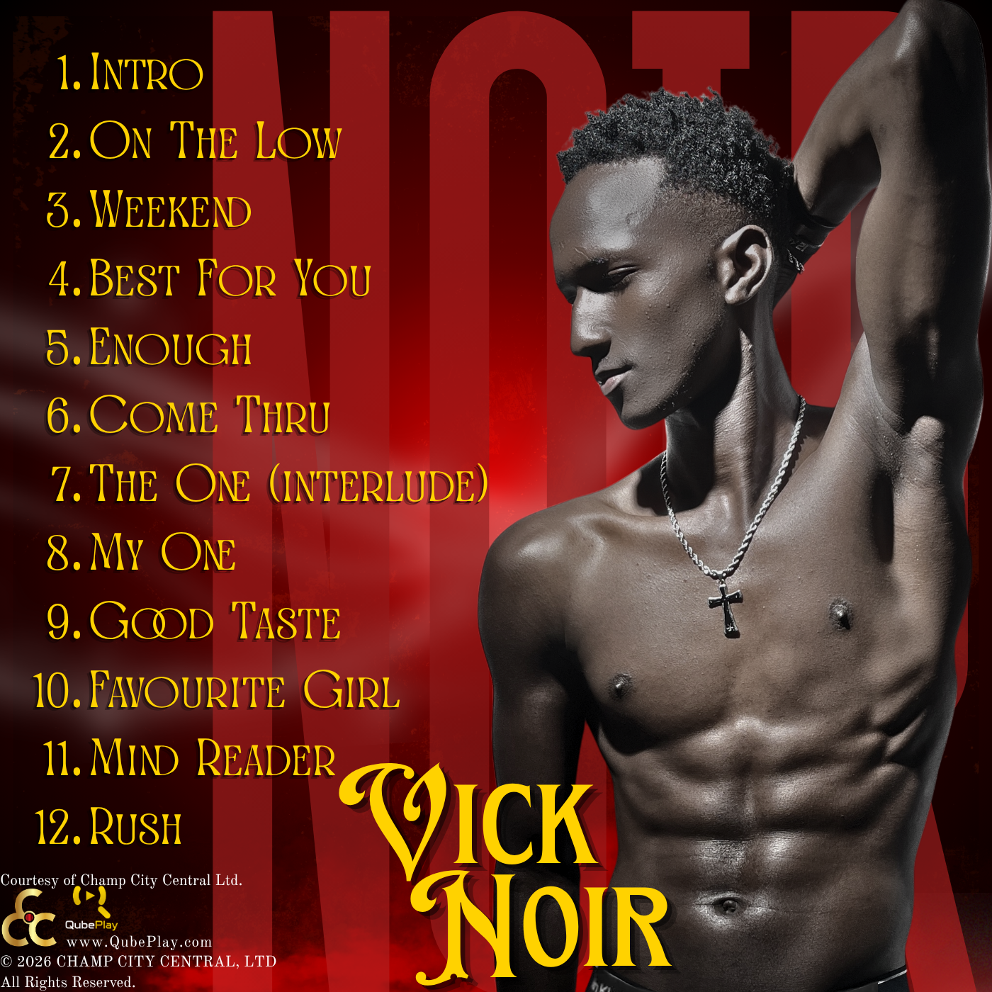 NOIR back cover